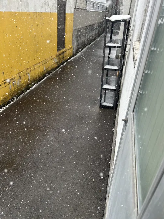 オーレンブログID:515『雪の中、本当にありがとうございました。』の画像